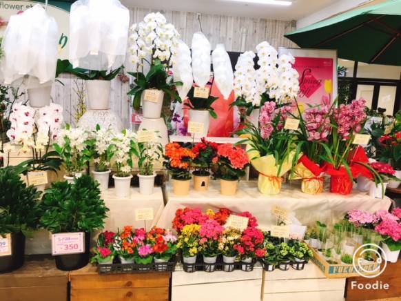 「フラワーショップ花だより」　（熊本県熊本市北区）の花屋店舗写真4