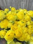 初blogです(*´╰╯`๓)♬｜「フラワーショップ花だより」　（熊本県熊本市北区の花キューピット加盟店 花屋）のブログ