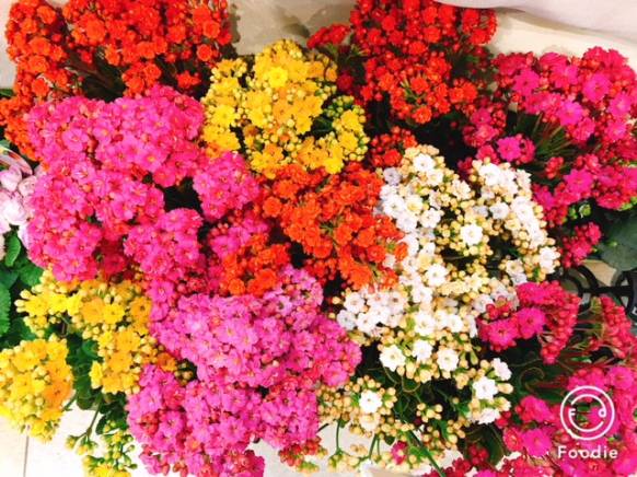 「フラワーショップ花だより」　（熊本県熊本市北区）の花屋店舗写真3
